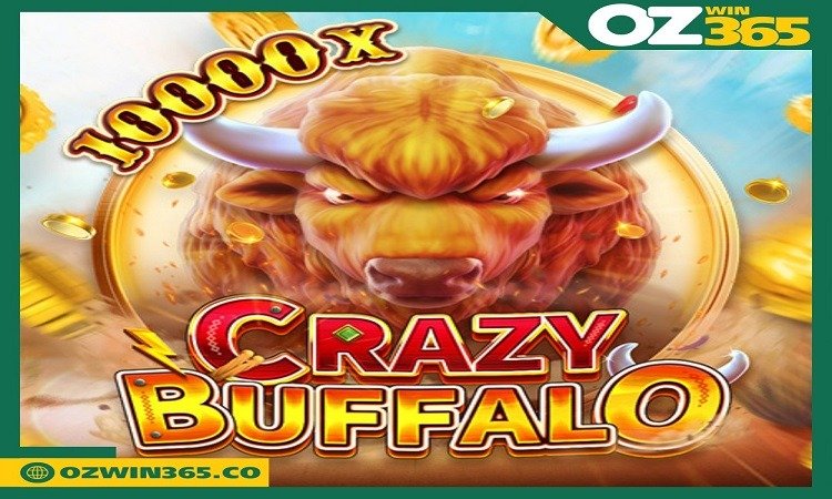 Best Online Slot Games in Bangladesh – Spin and Win Real Money at Ozwin365